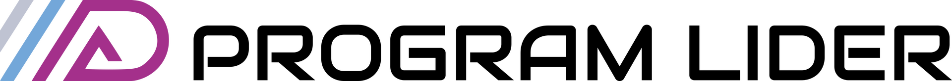 program_lider.png